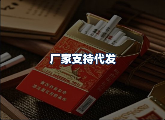 专业团队办公环境